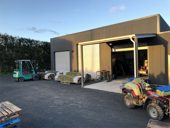 Willow and Poplar nursery NZ | Large trees for sale New Zealand